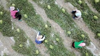 昆仑山吃瓜群众事件,揭秘网络舆论背后的真相