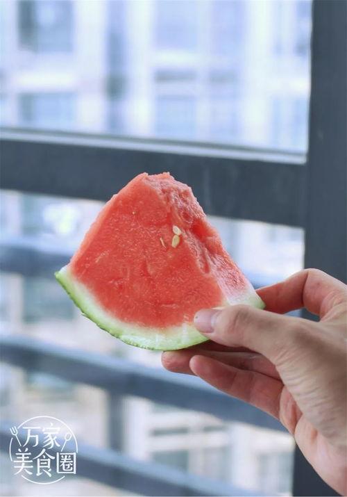 合肥工厂吃瓜群众,吃瓜群众视角下的日常风云录