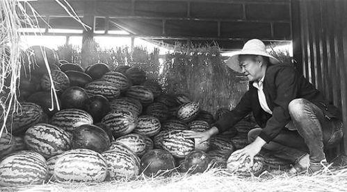 吃瓜群众岱岱 胶东崛起,岱岱视角下的吃瓜群众观察