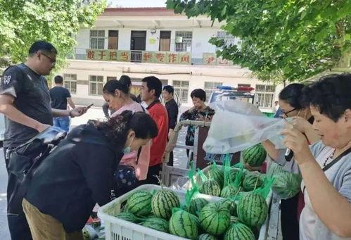 千户营吃瓜群众,吃瓜群众的欢乐盛宴