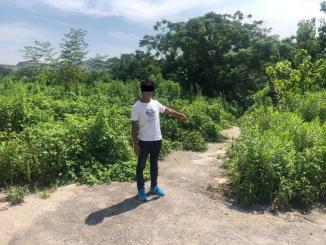 吃瓜群众桃花涧,揭秘吃瓜群众的欢乐盛宴