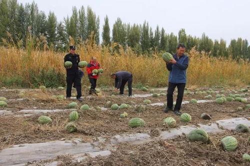 小密圈 吃瓜群众岱岱,网络红人的崛起之路