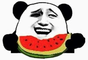 合拍一群吃瓜群众视频,吃瓜群众合拍的热闹瞬间