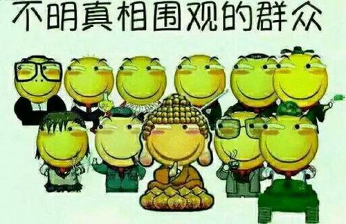 吃瓜群众两脚兽,两脚兽的趣味观察